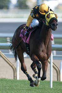 Where's the Widget wins the 2016 Bunty Lawless Stakes