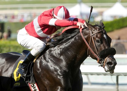 #6 ACCEPTANCE (Stewart Elliott)
$100,000 California Flag Handicap
Owner: Finish Line Racing, LLC or The Ellwood Johnston Trust
Trainer: Kenneth Black
Saturday, October 22, 2016
Santa Anita Park
Arcadia CA.
© BENOIT PHOTO