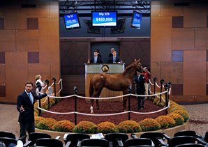 Curlin Colt Fuels Resurgent Midlantic Market