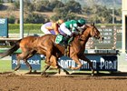 Stellar Wind Edges Beholder Again in Zenyatta Stellar Wind Edges Beholder Again in Zenyatta