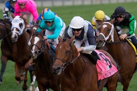 Erupt wins the 2016 Pattison Canadian International Stakes at Woodbine Racetrack.