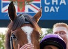 Minding and Ryan Moore after their win in the 2016 Queen Elizabeth II Stakes at Ascot