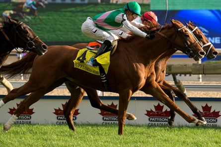 Al's Gal wins the 2016 E.P. Taylor Stakes