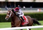 Ectot Stuns Flintshire in Hirsch Turf Classic Ectot Stuns Flintshire in Hirsch Turf Classic