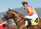 Lord Nelson after winning the 2016 Santa Anita Sprint Championship at Santa Anita