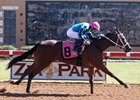 Fastinating Allie wins a maiden race at Zia Park Oct. 24
