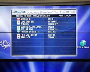 Draw for Distaff and Classic
Works at Santa Anita in preparation for 2016 Breeders' Cup on Oct. 31, 2016, in Arcadia, CA.