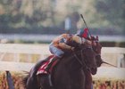 Turkoman's wins the 1986 grade I Marlboro Cup