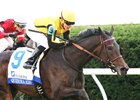 Quidura wins the 2016 Pin Oak Valley View Stakes