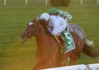 Heart to Heart enters Artie Schiller Stakes off a win in the Knickerbocker.