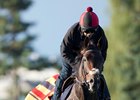 Dartmouth at Woodbine Oct. 13