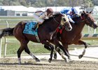 Greatbullsoffire Tops Futurity Greatbullsoffire Tops Futurity