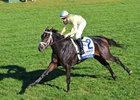 Juvenile Fillies Turf Could Launch Next Star Juvenile Fillies Turf Could Launch Next Star