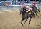 Stallwalkin' Dude winning this year's Bold Ruler Handicap at Belmont Park