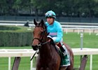 Lady Eli Continues Comeback in F&M Turf Lady Eli Continues Comeback in F&M Turf