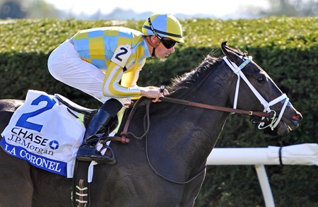 October 12, 2016: La Coronel, Florent Geroux up, wins the Gr.3 J.P. Morgan Chase Jessamine Stakes at Keeneland...
© Rick Samuels/The Blood-Horse