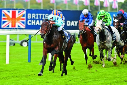 ASCOT 15-10-2016. Qipco Champion Stakes.
ALMANZOR and Christophe Soumillon wins from FOUND for trainer Jean Claude Rouget.
Photo Healy Racing / Racingfotos.com
THIS IMAGE IS SOURCED FROM AND MUST BE BYLINED "RACINGFOTOS.COM"