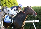 Miss Temple City Eyeing Breeders' Cup Mile Miss Temple City Eyeing Breeders' Cup Mile