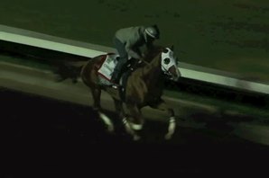 California Chrome 'Fit' for BC After Work