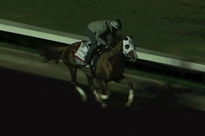California Chrome 'Fit' for BC After Work California Chrome 'Fit' for BC After Work