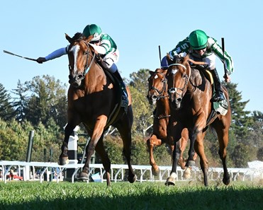 Elektrum (IRE) wins the 2016 G3 Rood & Riddle Dowager with jockey Drayden Van Dyke up for trainer John Sadler and owner Hronis Racing, 2016 Keeneland Fall Meet