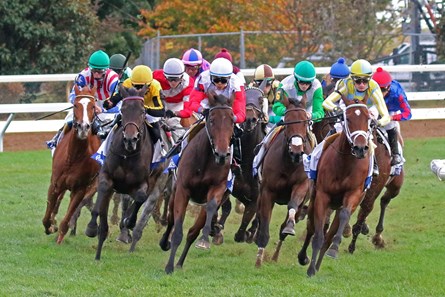 Quidura (GB) wins the 2016 G3 Pin Oak Valley View with jockey Junior Alvarado up for trainer H. Graham Motion and owner Gestut Faerhof, 2016 Keeneland Fall Meet