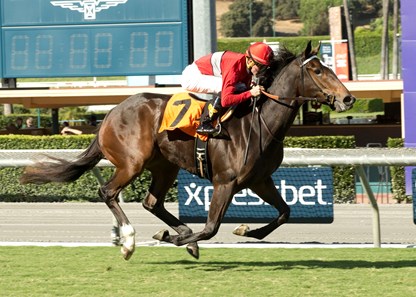 Miss Southern Miss wins the 2016 Surfer Girl Stakes