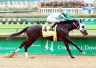 Warrior’s Club Wins Spendthrift Stallion Warrior’s Club Wins Spendthrift Stallion