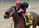 Paulassilverlining is the 123-pound highweight for the Gallant Bloom