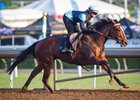 With Honors Returns to Turf in Jimmy Durante With Honors Returns to Turf in Jimmy Durante