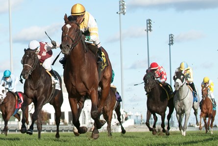 Tiz a Slam wins the 2016 Cup and Saucer Stakes