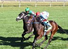 Mongolian Saturday (#12) holds on to win the Woodford