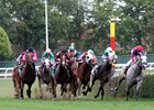 The New York Racing Association hopes to encourage the development of horses for long-distance turf stakes