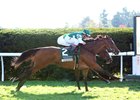 Elektrum Surges at Wire to Win Dowager Elektrum Surges at Wire to Win Dowager