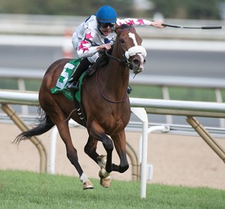Jockey Jesse Campbell guides Caren to victory in the $150,000 Carotene Stakes at Woodbine Racetrack. Caren is trained by Michael De Paulo.