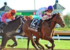October 22, 2016: Lightstream (12) Julien Leparoux up, wins the Gr.2 Lexus Raven Run Stakes at Keeneland...
© Rick Samuels/The Blood-Horse