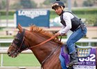 Dortmund is the 6-5 favorite for the Breeders’ Cup Dirt Mile
