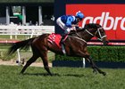 Winx Easily Extends Win Streak to 12 Winx Easily Extends Win Streak to 12