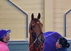 Madam Dancealot will take on 13 rivals in the Del Mar Oaks
