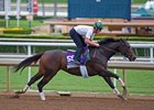 Carina Mia working under assistant trainer Rodolphe Brisset
