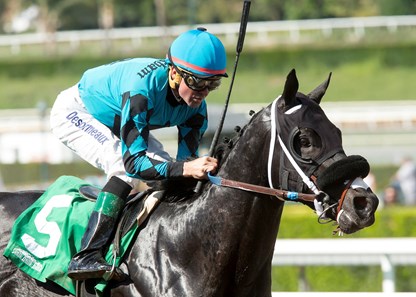 California Diamond wins the 2016 Speakeasy Stakes