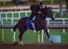 Songbird works at Santa Anita Oct. 20