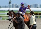 Awesome Banner heads to the winner's circle after winning the 2016 Florida Stallion Series Foolish Pleasure Stakes
