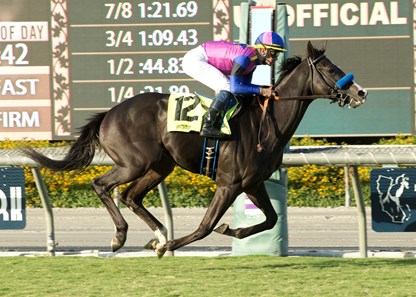 Big Score wins the 2016 Zuma Beach Stakes