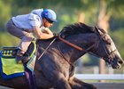 Arrogate Finishes Strong in Latest Drill Arrogate Finishes Strong in Latest Drill