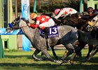 Red Falx wins the 2016 Sprinters Stakes