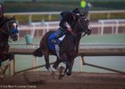 Songbird works Oct. 13 at Santa Anita
