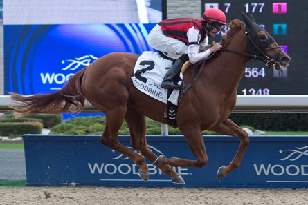 Will She Wins 2016 Fanfreluche Stakes at Woodbine Racetrack.