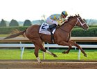 Noble Bird wins the 2016 Hagyard Fayette Stakes