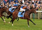 Churchill comes home strong to win the Dubai Dewhurst Stakes